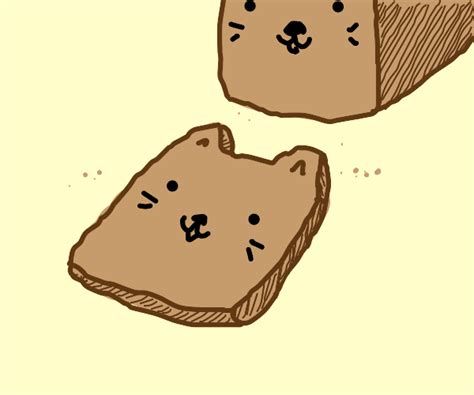 Bread Cat Drawception