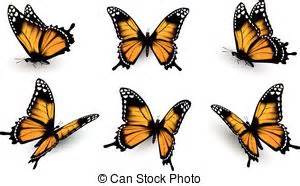 Vector brillante mariposa Stock Photo Images. 9.567 Vector brillante ...