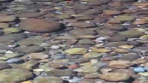 More images for how to paint a flowing river » Clear Water Flowing Over River Stones - YouTube