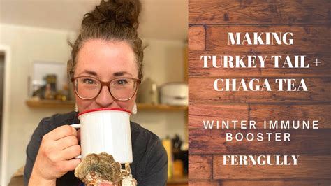 making turkey tail chaga mushroom tea winter immune booster youtube