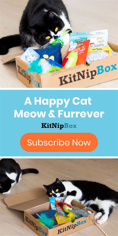 Kitnipbox Is A Cats Best Friend Each Month Our Team Scours The World