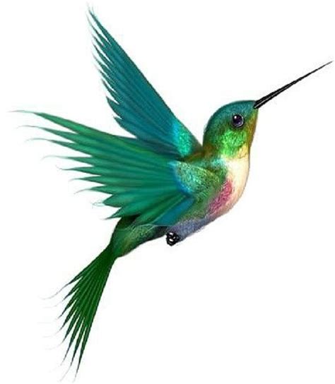 Hummingbird tattoo has become popular over the years especially on the bodies of the ladies that it is virtually impossible for you not to pick out this tattoo among many tattoo lovers. Awesome tattoo design with hummingbird