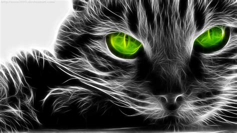 Black Cat With Green Eye Portrait Photo Hd Wallpaper Wallpaper Flare