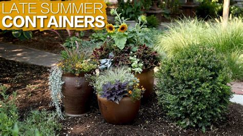 Late Summer Containers 🌿 Garden Answer Youtube