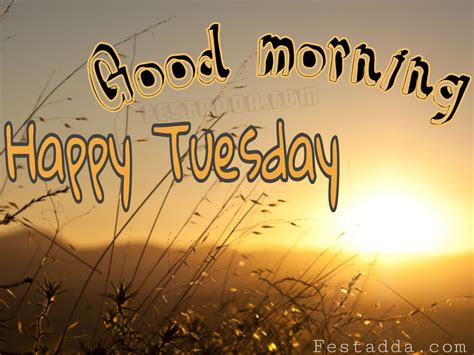 Happy Tuesday  Good Morning Tuesday Images Happy Tuesday Images