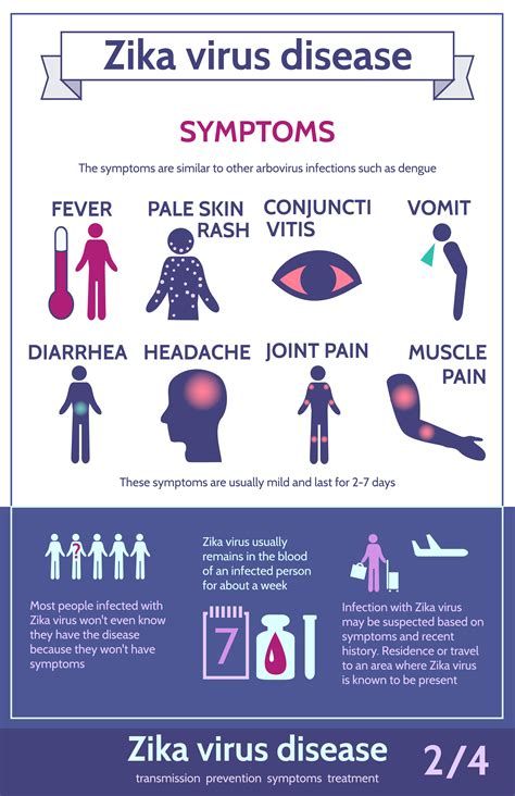 Zika Infographics Transmissionsymptomstreatment And Prevention