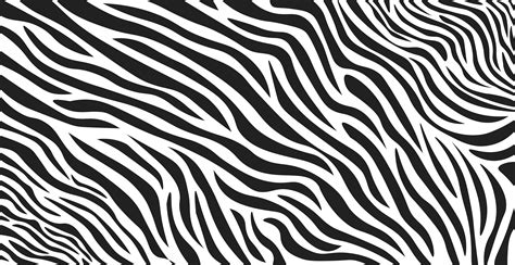 Wavy Black And White Zebra Fur Texture Vector Vector Art At