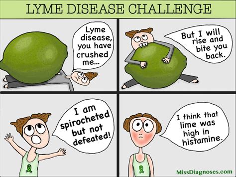 lyme disease challenge comic a lyme meme and lyme cartoon awareness videos miss diagnoses