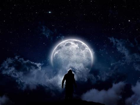 Moonlight Hd Wallpapers And 4k Backgrounds Wallpapers Den
