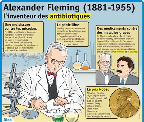 Science infographic Science infographic Fiche exposés Alexander