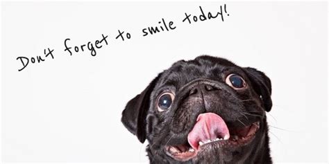 It's National Smile Week - So Use Our Instant Smile Generator!