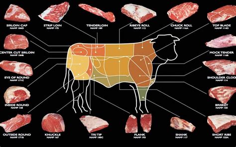 Cuts Of Beef A Comprehensive Guide To Cuts Of Beef In Colombia