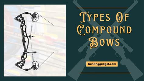 Types Of Compound Bows Everything You Need To Know 2023