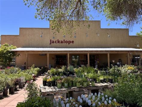 Jackalope 211 Photos And 101 Reviews 2820 Cerrillos Rd Santa Fe New