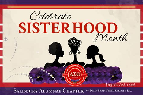 Delta Sigma Theta Sorority Inc Celebrating Sisterhood