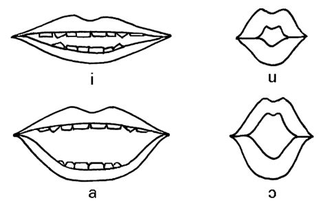 Function alphabetposition(text) { var chari, arr = , alphabet . English phonetics: 2012-05-06