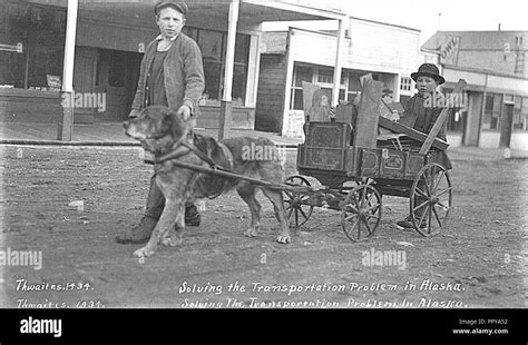 Dog Pulling Cart Hi Res Stock Photography And Images Alamy
