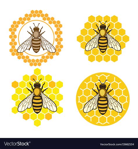 honey bee set royalty free vector image vectorstock