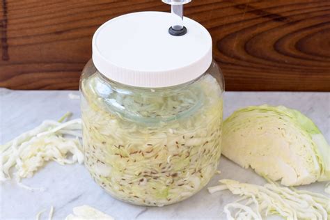 make your own sauerkraut at island farm s fermentation basics hot sex picture