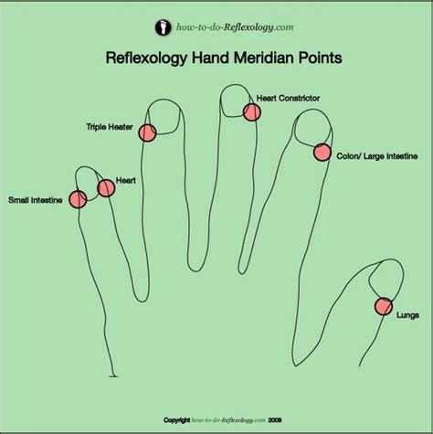 Hand Reflexology Simple Easy To Learn Step By Step Instructions