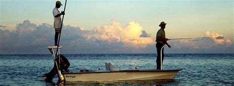 Six 6 Reasons Why You Should Go Fishing In Belize Belize Budget Suites