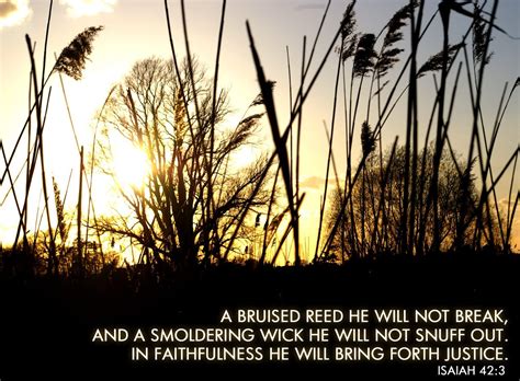 A Bruised Reed He Will Not Break Lifespring Church