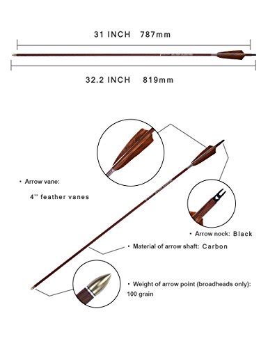 Pandarus Archery 31 Inch Carbon Hunting Arrows 4 Inch Turkey Feather