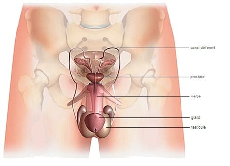 Ftm Clit Porn Sex Photos