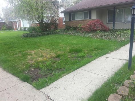 Maybe you would like to learn more about one of these? weed control - How do I fix the worst lawn on the street ...