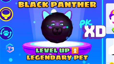 💥 Black Panther Pet Level Up ⬆️ Pk Xd Pet Pk Xd Legendary Pet Pk