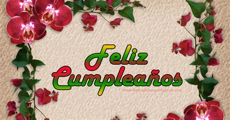 Banco De Imágenes Feliz Cumpleaños Con Rosas Y Orquídeas