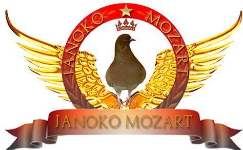 Detail Logo Team Merpati Kolong Koleksi Nomer 12