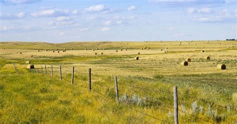 207 Best WINNIPEG MANITOBA NEWS stories | Environment and Climate