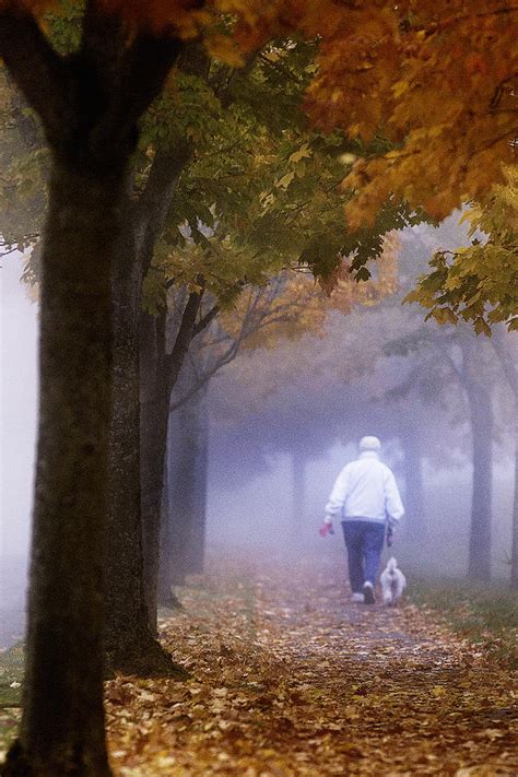 Foggy Morning Walk Photograph By Paul Conrad Fine Art America