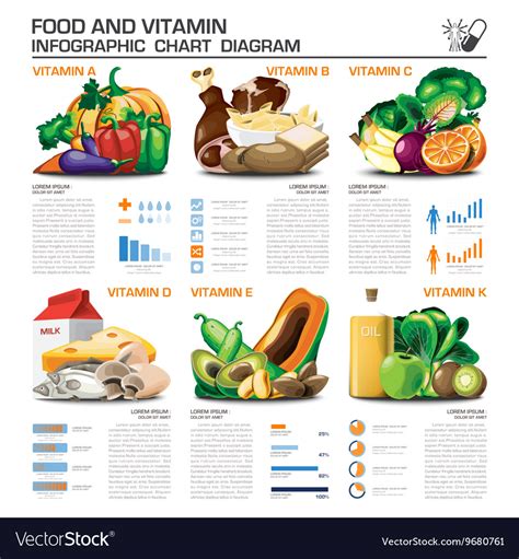 Food And Vitamin Infographic Chart Diagram Vector Image