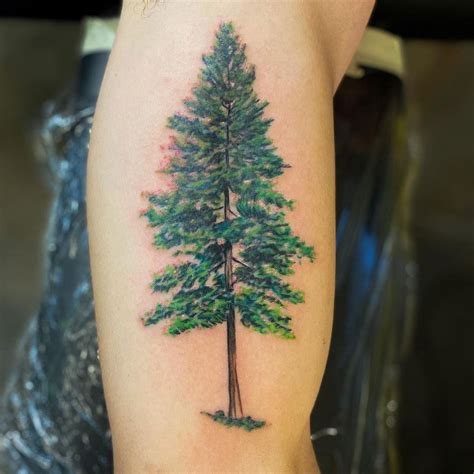 Aggregate More Than 71 Pine Tree Silhouette Tattoo Thtantai2