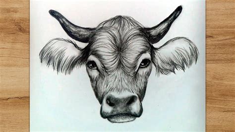 Update 79+ cow pictures sketch - seven.edu.vn