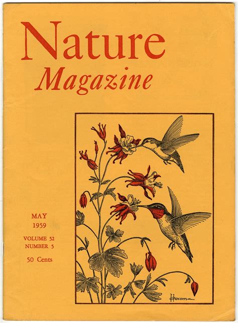 Nature Magazine Magazine Cover Magazine Nature