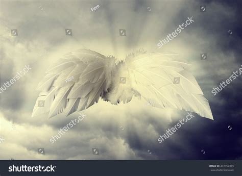 Angel Wings Over Dark Gray Dramatic Stock Photo Edit Now 437357389