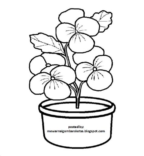 Gambar Flora Yang Mudah di Tiru Untuk Anak Terlengkap