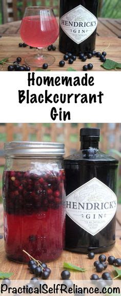 8 Best Blackcurrant Gin Ideas Homemade Liquor Liqueurs Recipes Gin