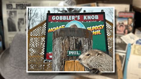 Will Punxsutawney Phil see his shadow? How to watch Groundhog Day 2024 live