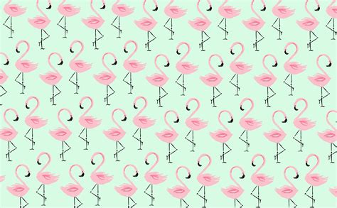 Terbaru 11 Free Flamingo Wallpaper Desktop Richa Wallpaper