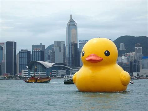 A giant inflatable rubber duck installation by dutch artist florentijn hofman floats through the port of los angeles as part of the tall ships festival, in san pedro, california august 20, 2014. Chinese Counterfeiters Copy Florentijn Hofman's Giant ...
