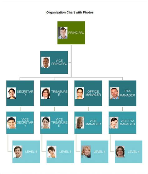 Org Chart Word Template Professional Template For Business