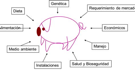 La Cría De Cerdos Ecológica Del Siglo Xxi Para Pequeños Y Medianos