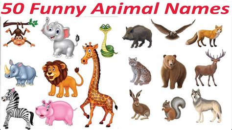Funny Animal Names 50 Funny Animal Names Funny Animal Names List