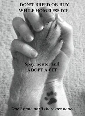 Animal Rights - Animal Rights Photo (6113504) - Fanpop