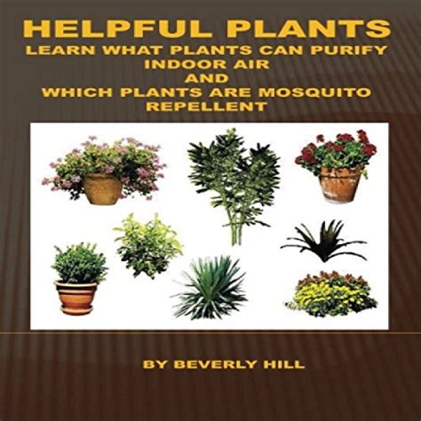 Helpful Plants By Beverly Hill Audiobook Uk