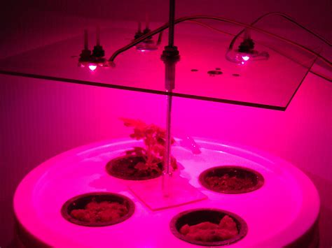 Led supply offers a complete lineup of led kits that save you time and assure a successful end result for your lighting project. DIY LED Grow Lights